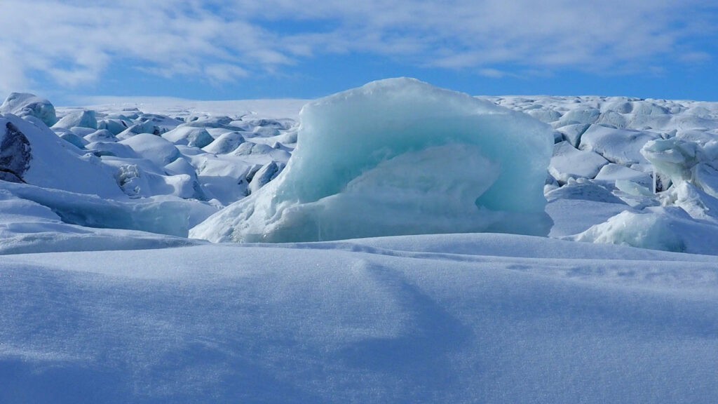 Expédition Spitzberg Arctique 2015