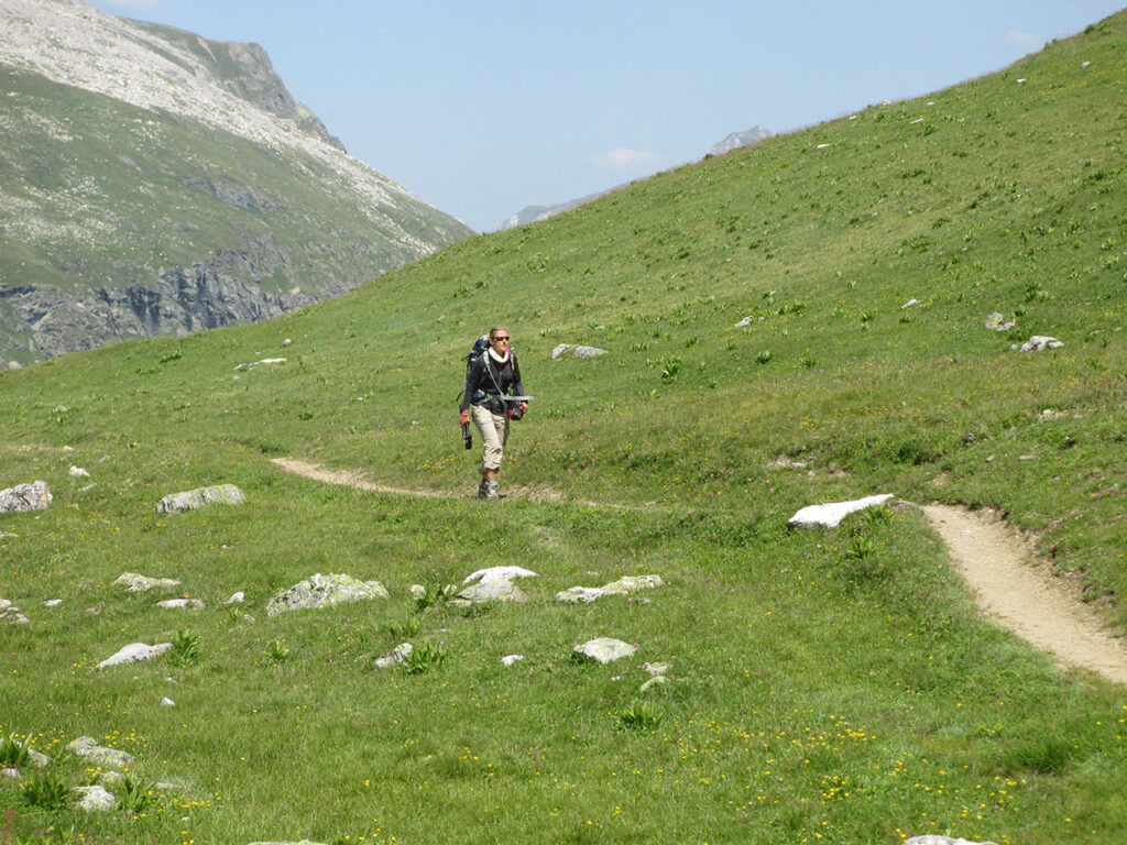 Montagne et diabète 2012 - La Grande Traversée des Alpes