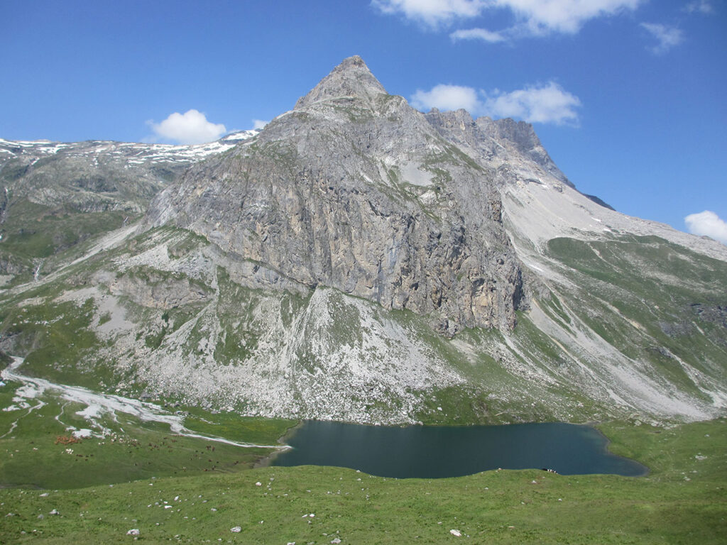 Montagne et diabète 2012 - La Grande Traversée des Alpes