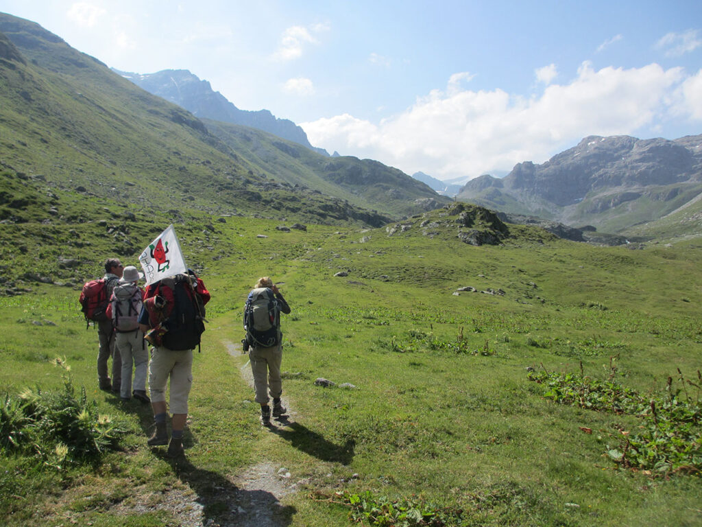 Montagne et diabète 2012 - La Grande Traversée des Alpes