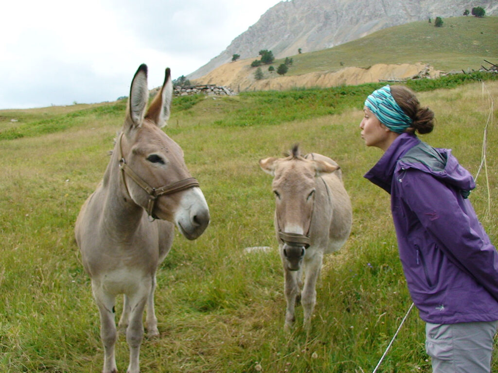 Montagne et diabète 2012 - La Grande Traversée des Alpes