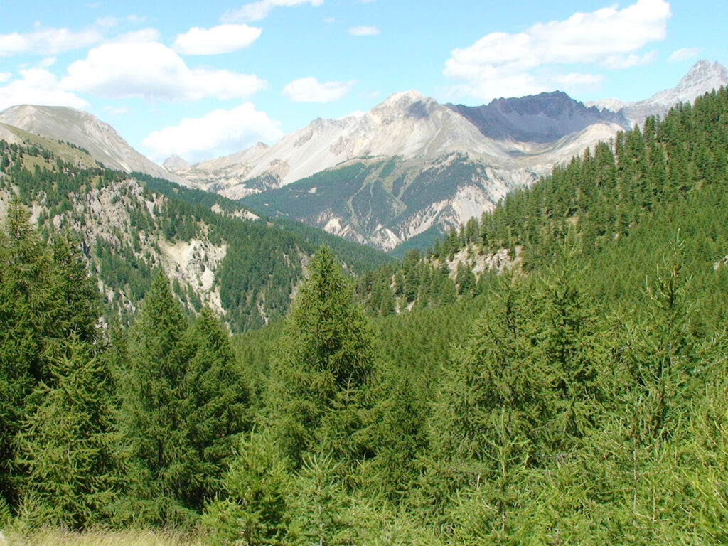 Montagne et diabète 2012 - La Grande Traversée des Alpes