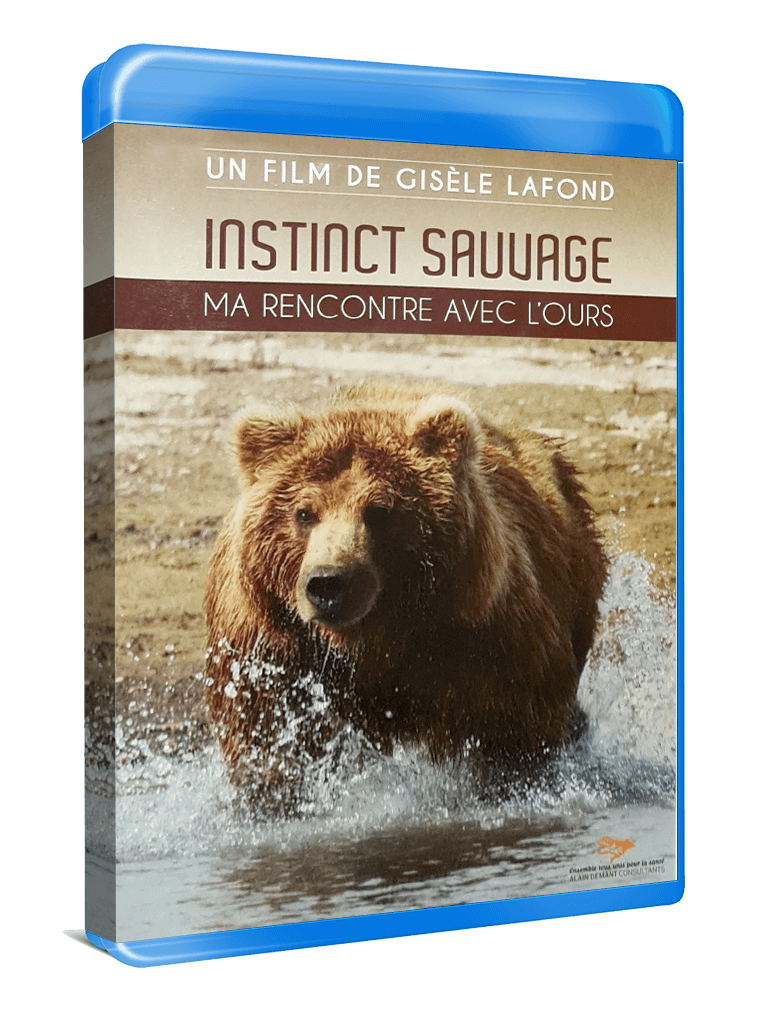 Bluray "Instinct sauvage : ma rencontre avec l'ours" réalisé par Gisèle Lafond