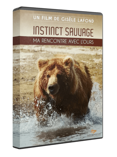 DVD "Instinct sauvage : ma rencontre avec l'ours" réalisé par Gisèle Lafond