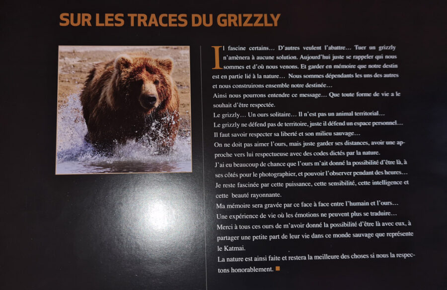 Livre "Sur les traces du Grizzly" par Gisèle Lafond